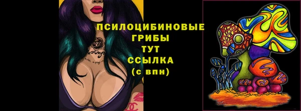 Альфа ПВП Новодвинск