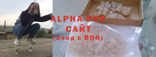 PSILOCYBIN Балахна