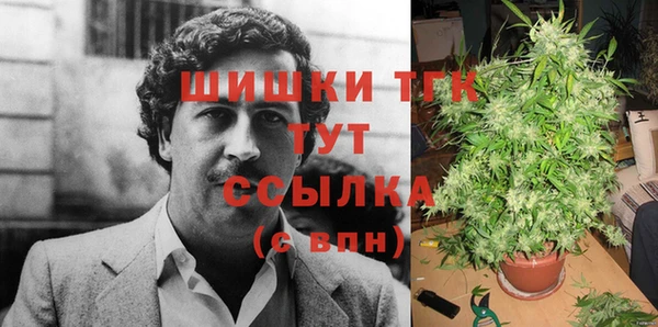 PSILOCYBIN Балахна