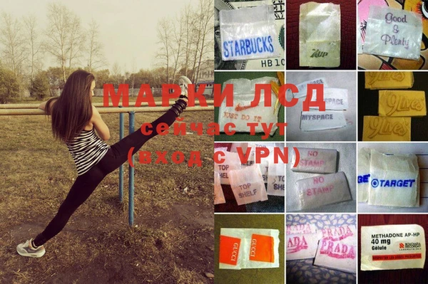 ГАЛЛЮЦИНОГЕННЫЕ ГРИБЫ Арсеньев